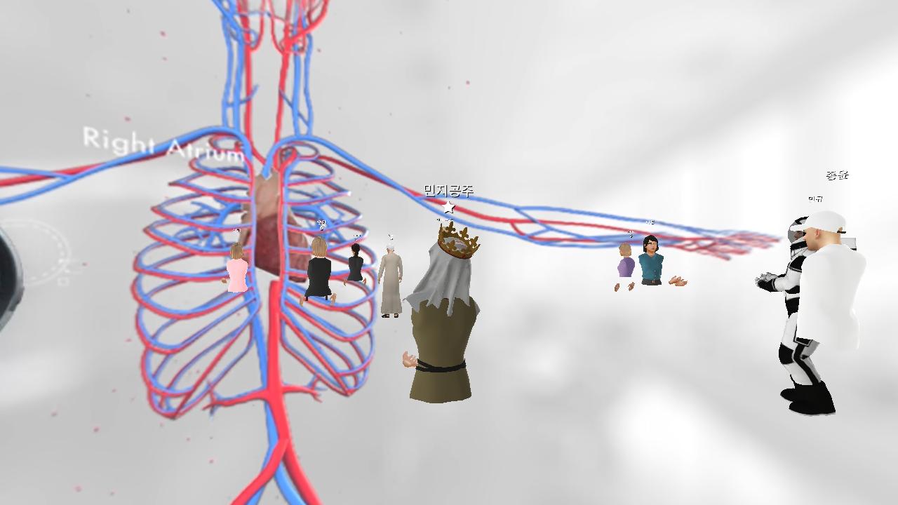 virtual reality image of arteries