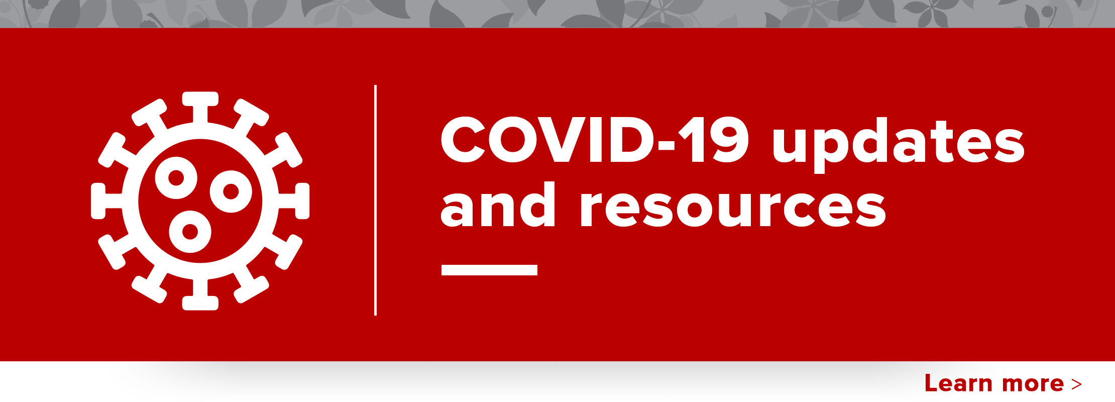 COVID-19 updates and resources