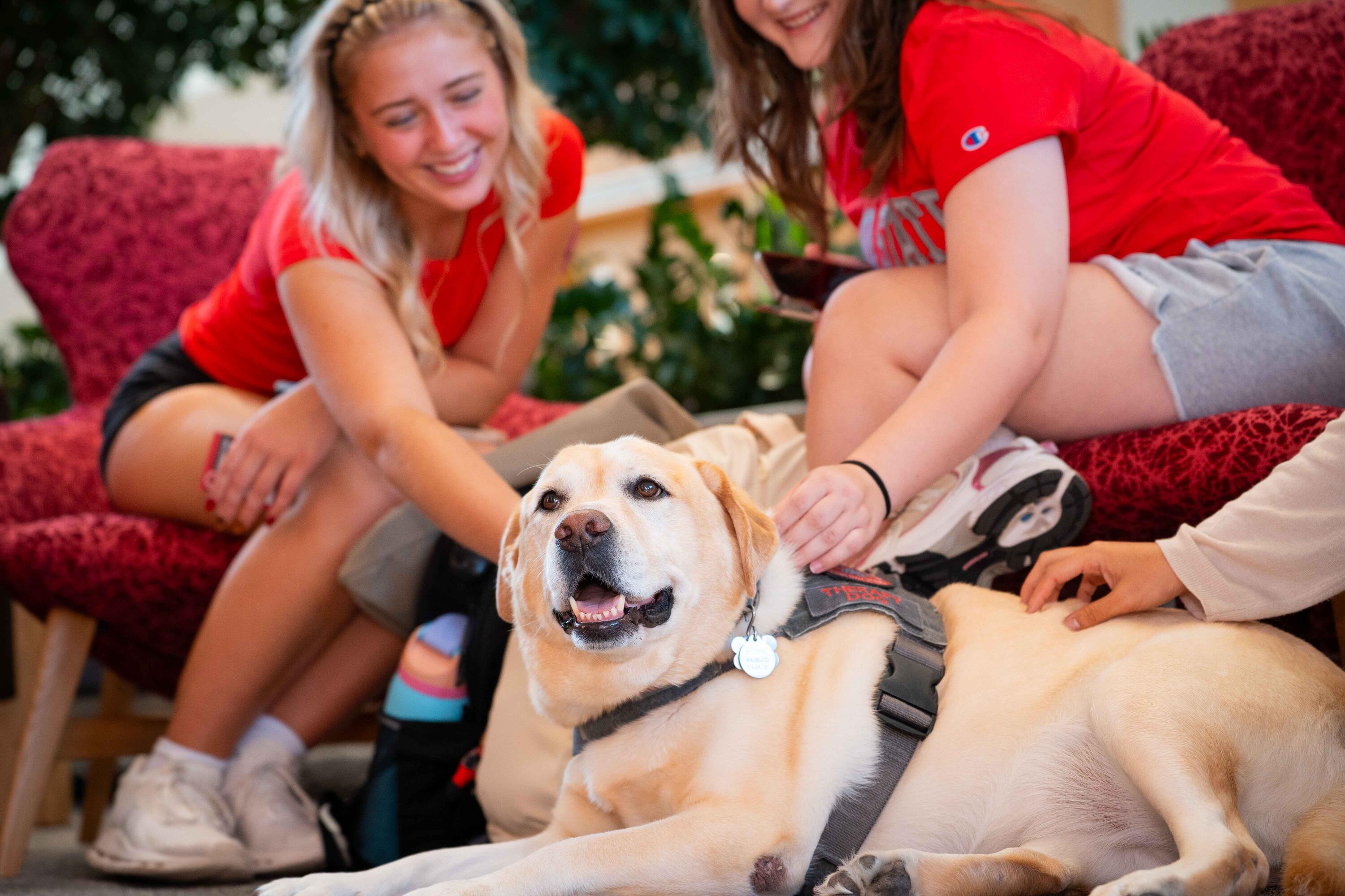 nursing students petting a Buckeye Paws dog