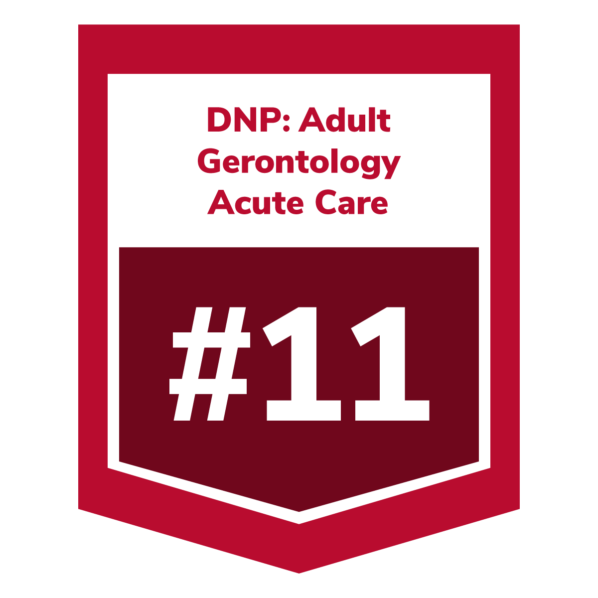 DNP: Adult Gerontology Acute Care #11