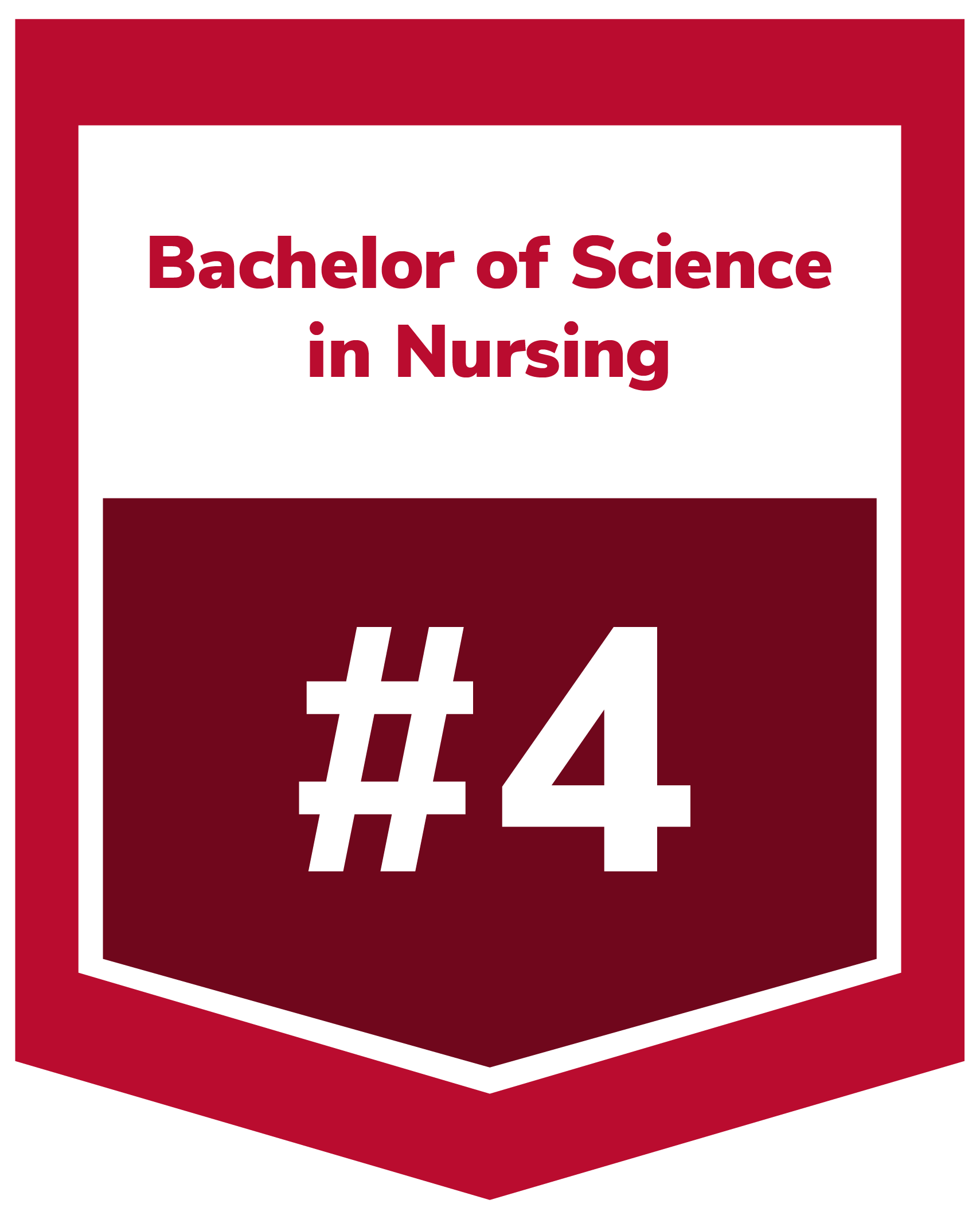 Bachelor of Science in Nursing #4