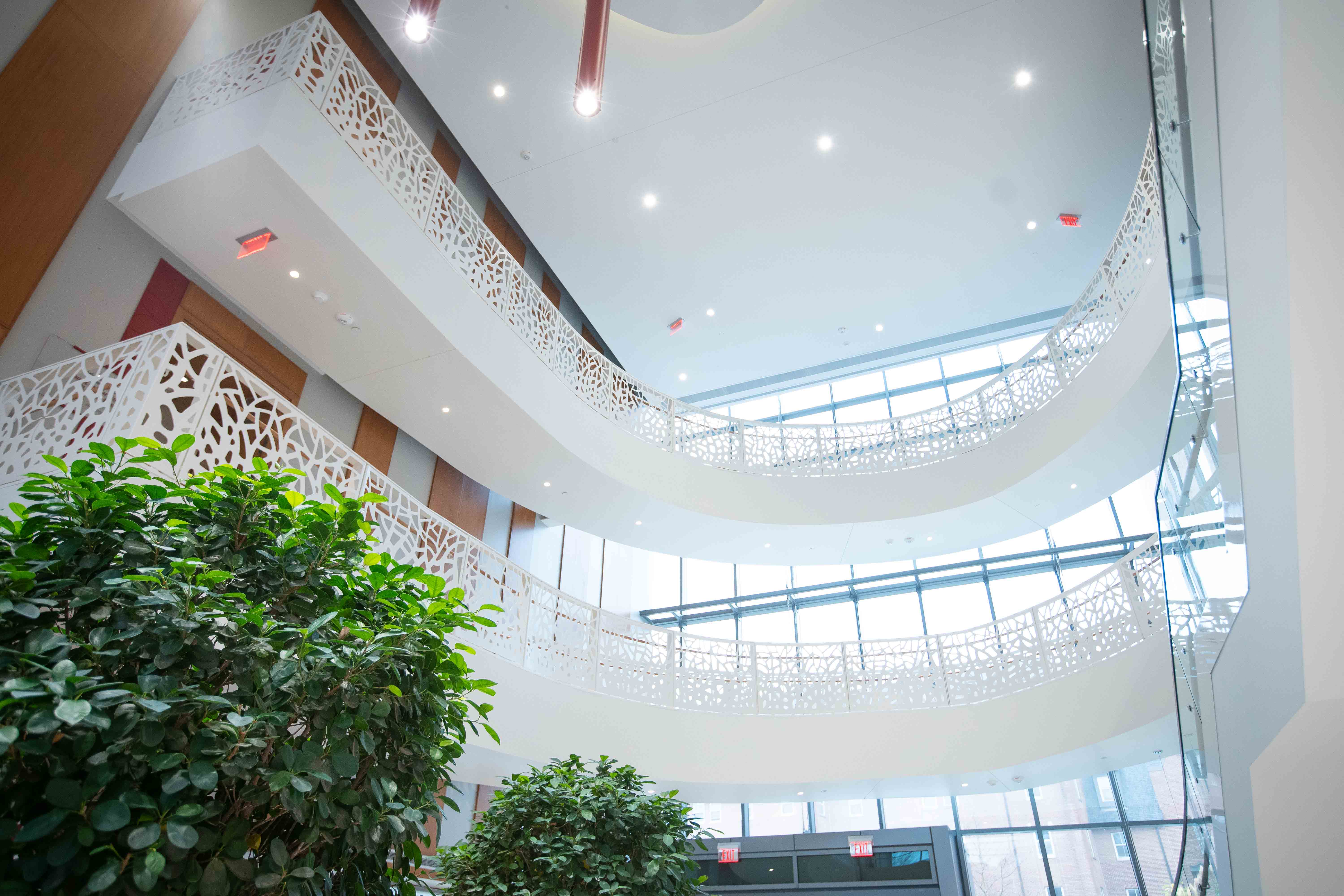 elliptical ramps in Heminger Hall