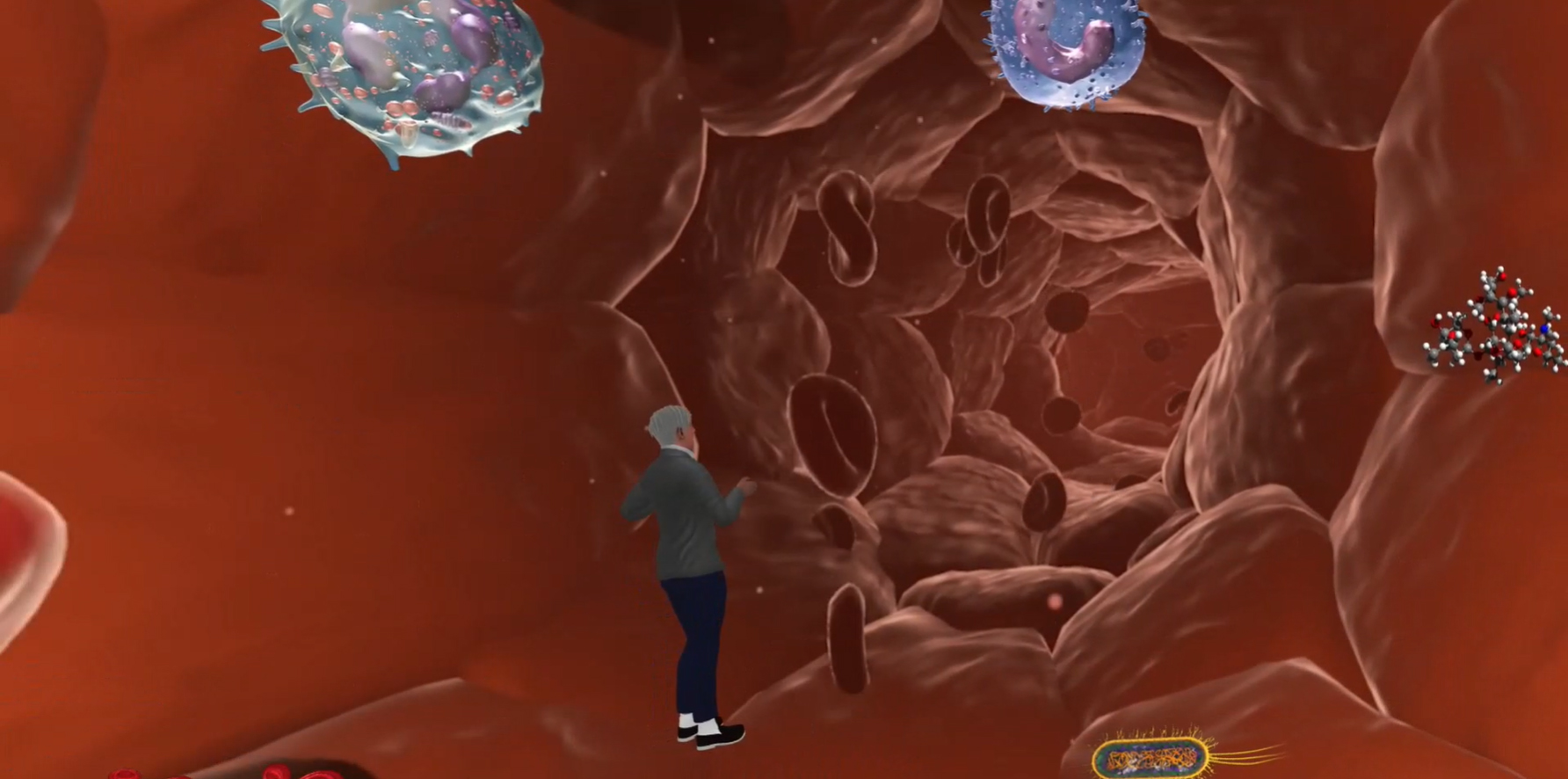 virtual reality image of person standing inside an artery looking at blood vessels