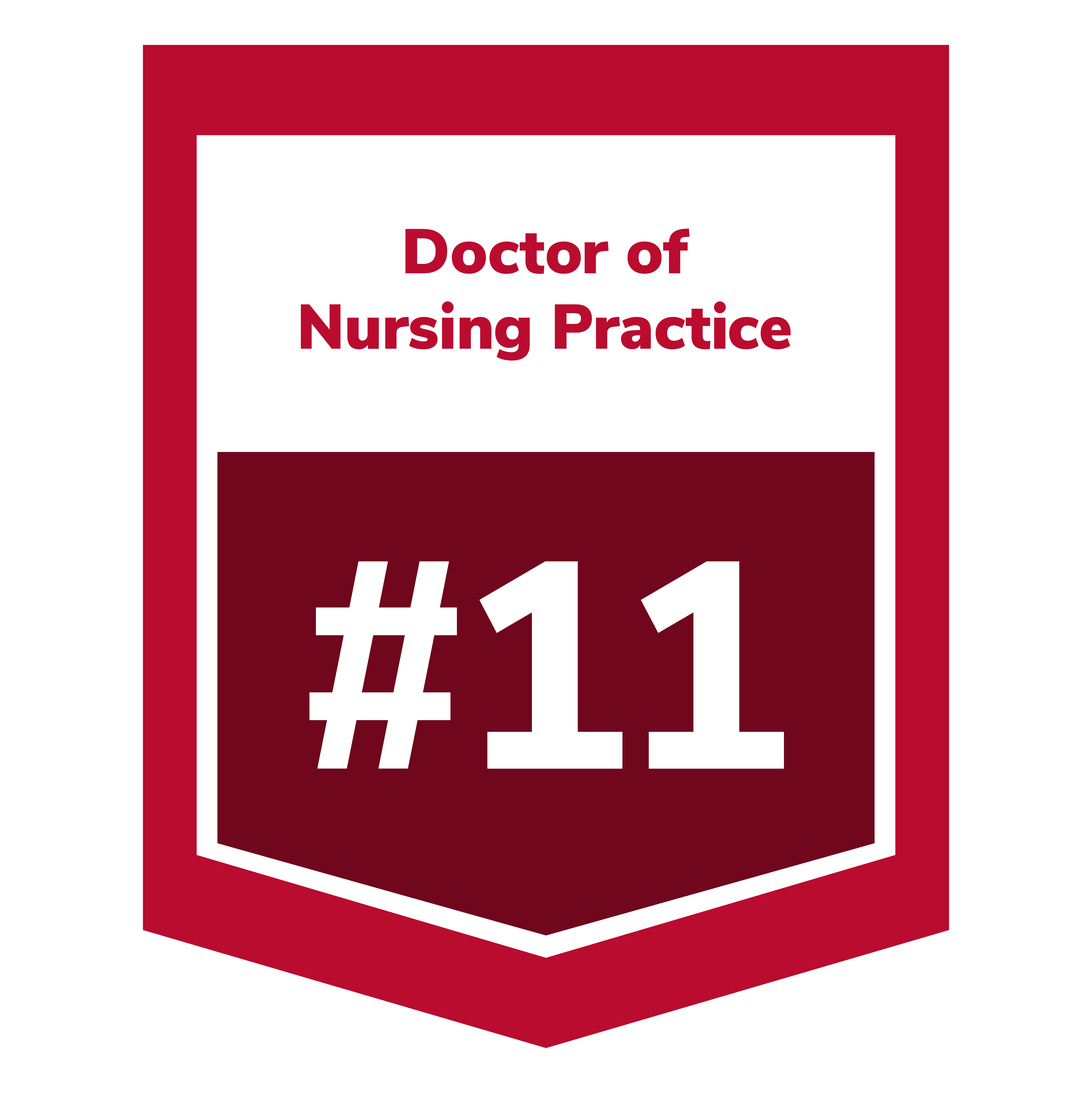 BSN to Doctor of Nursing Practice (DNP) | The Ohio State University ...