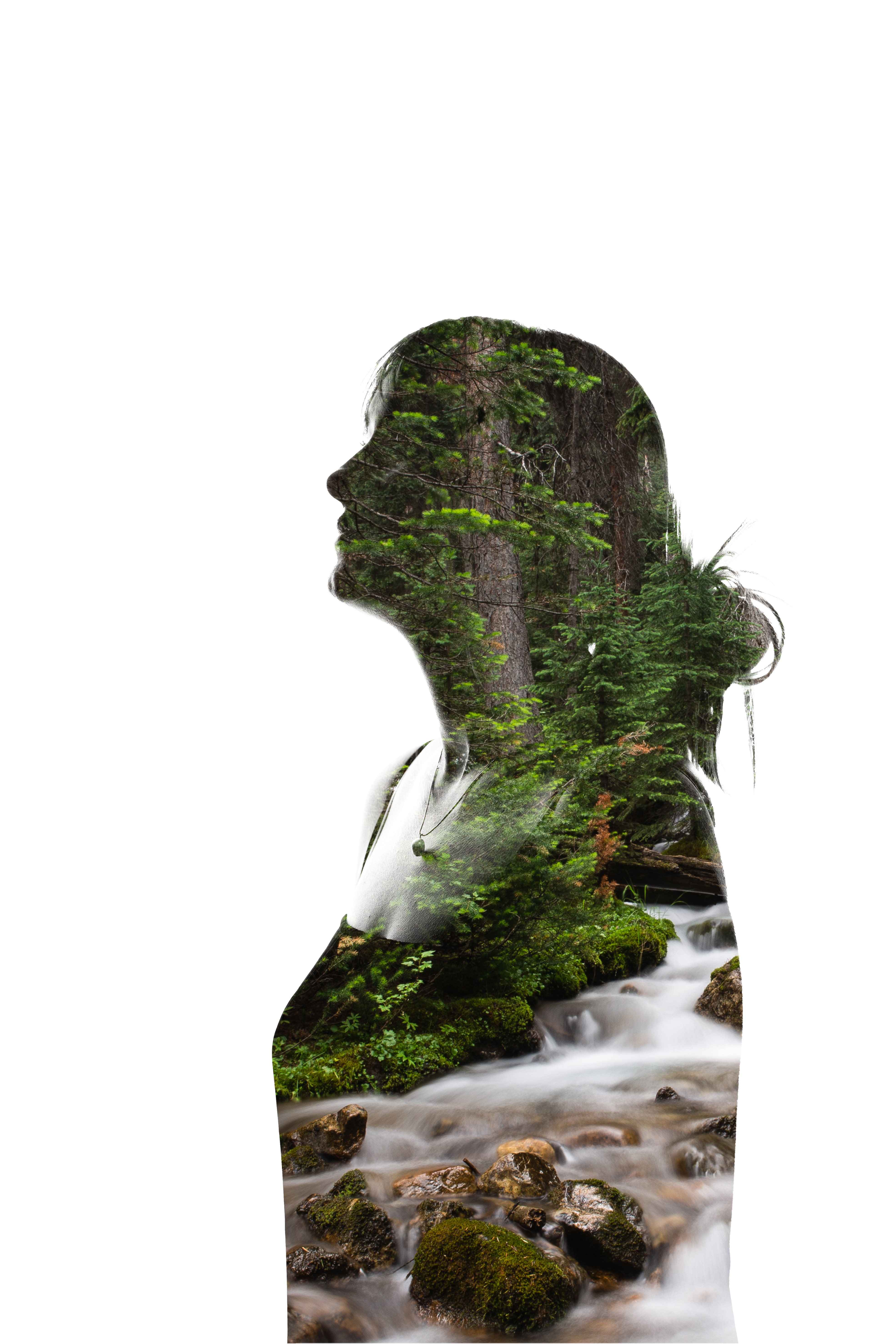 silhouette of woman with nature scene