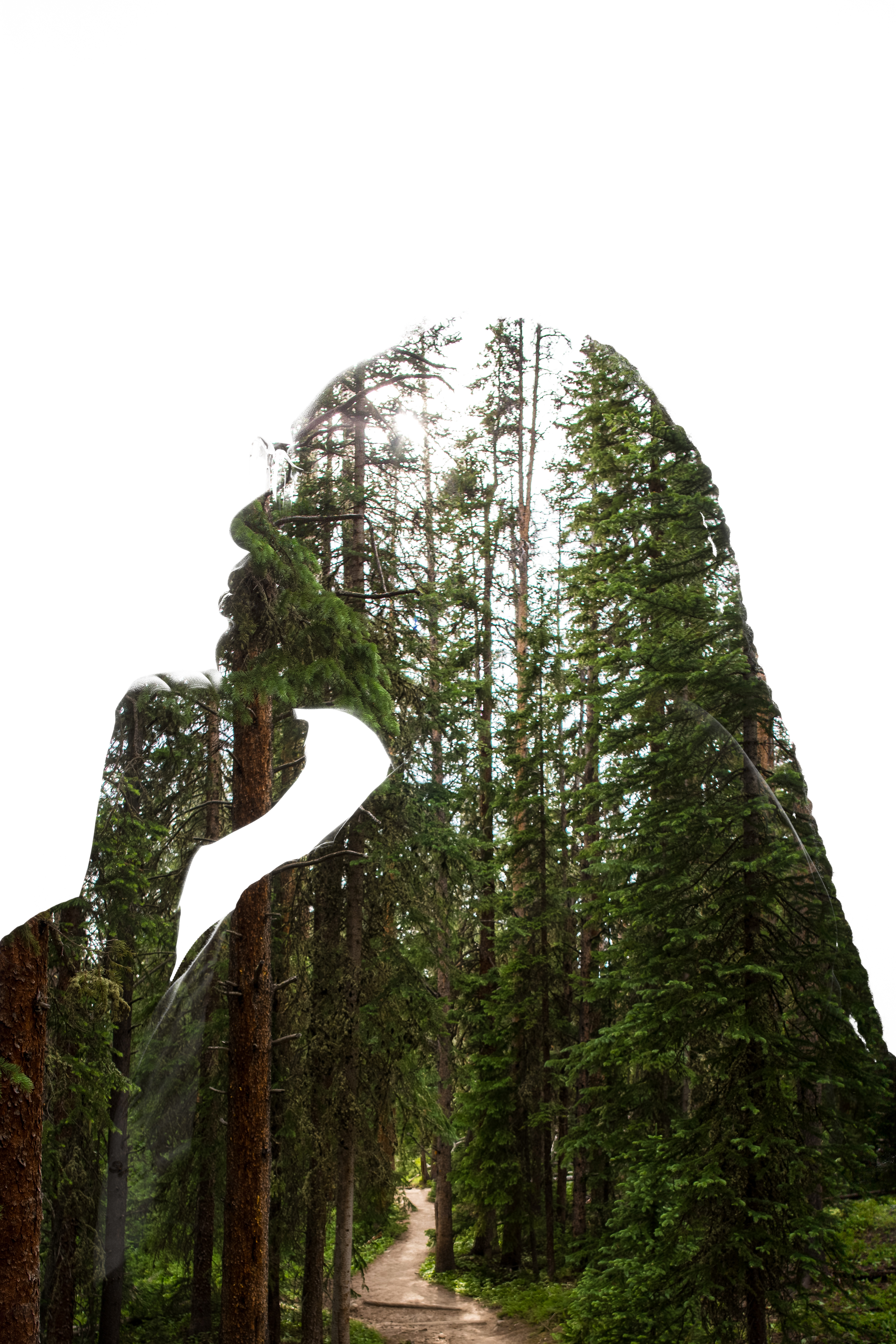 silhouette of woman with nature scene