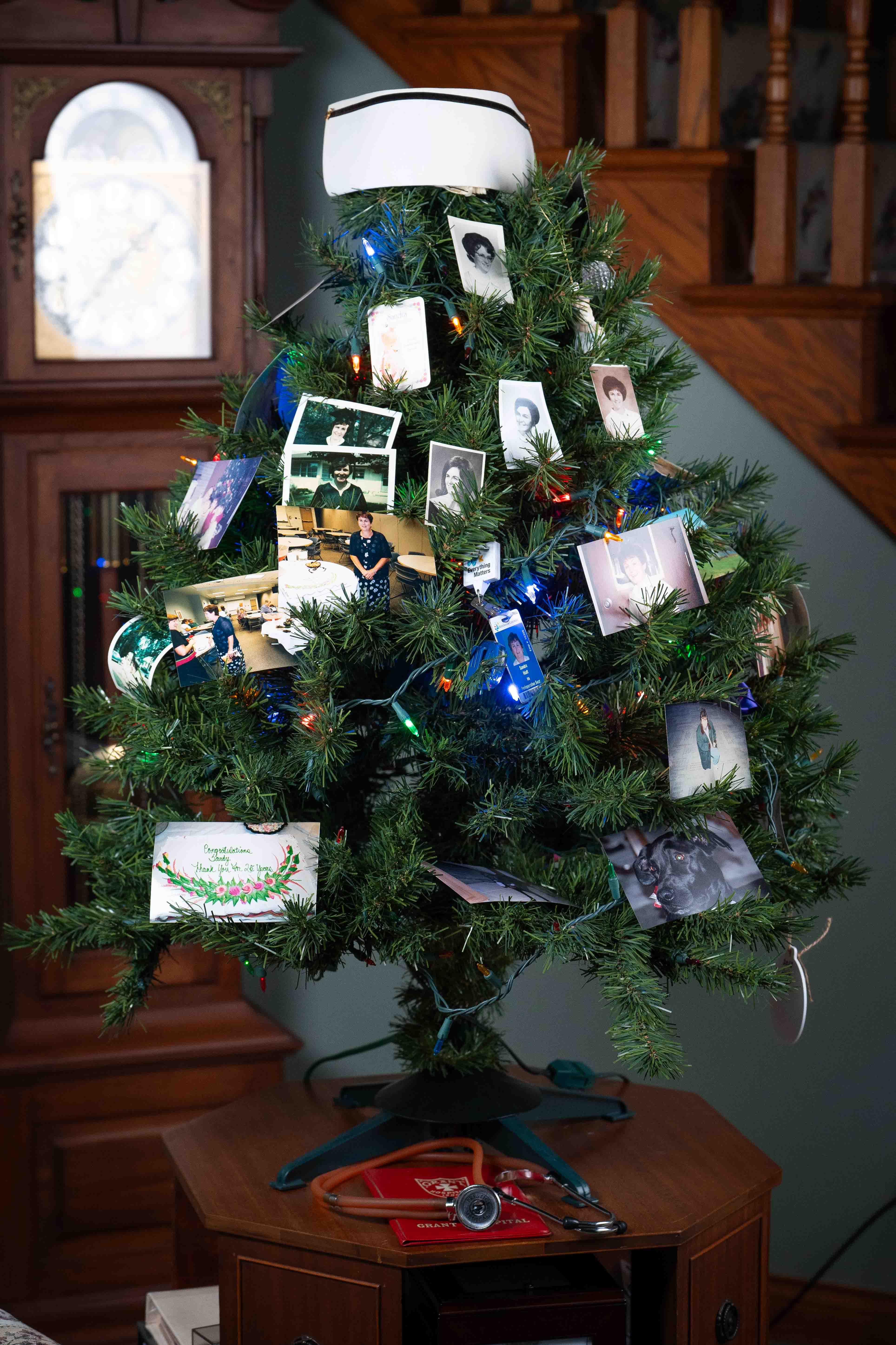 Christmas tree of photos of Sandy