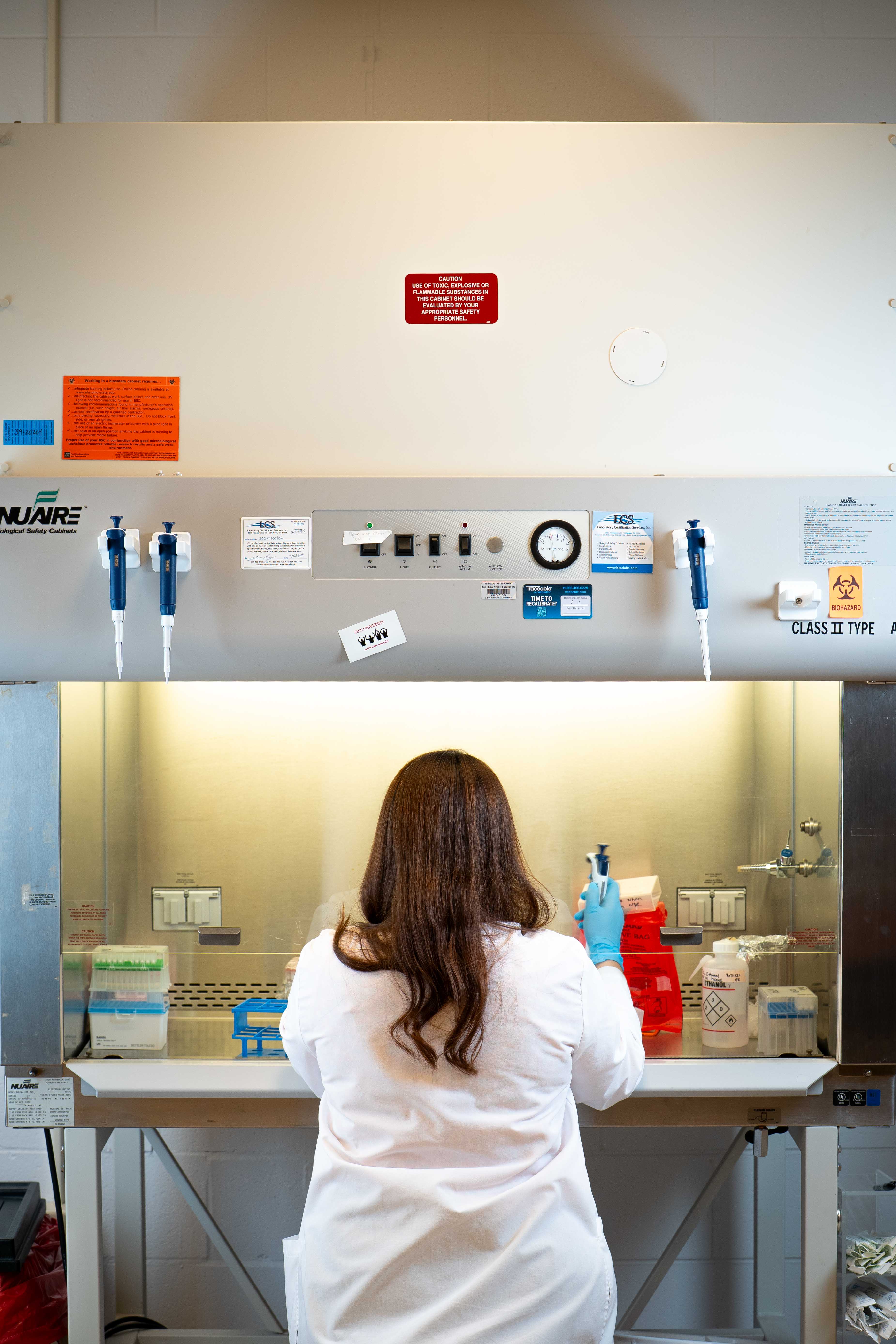 Shannon Gillespie working in the lab