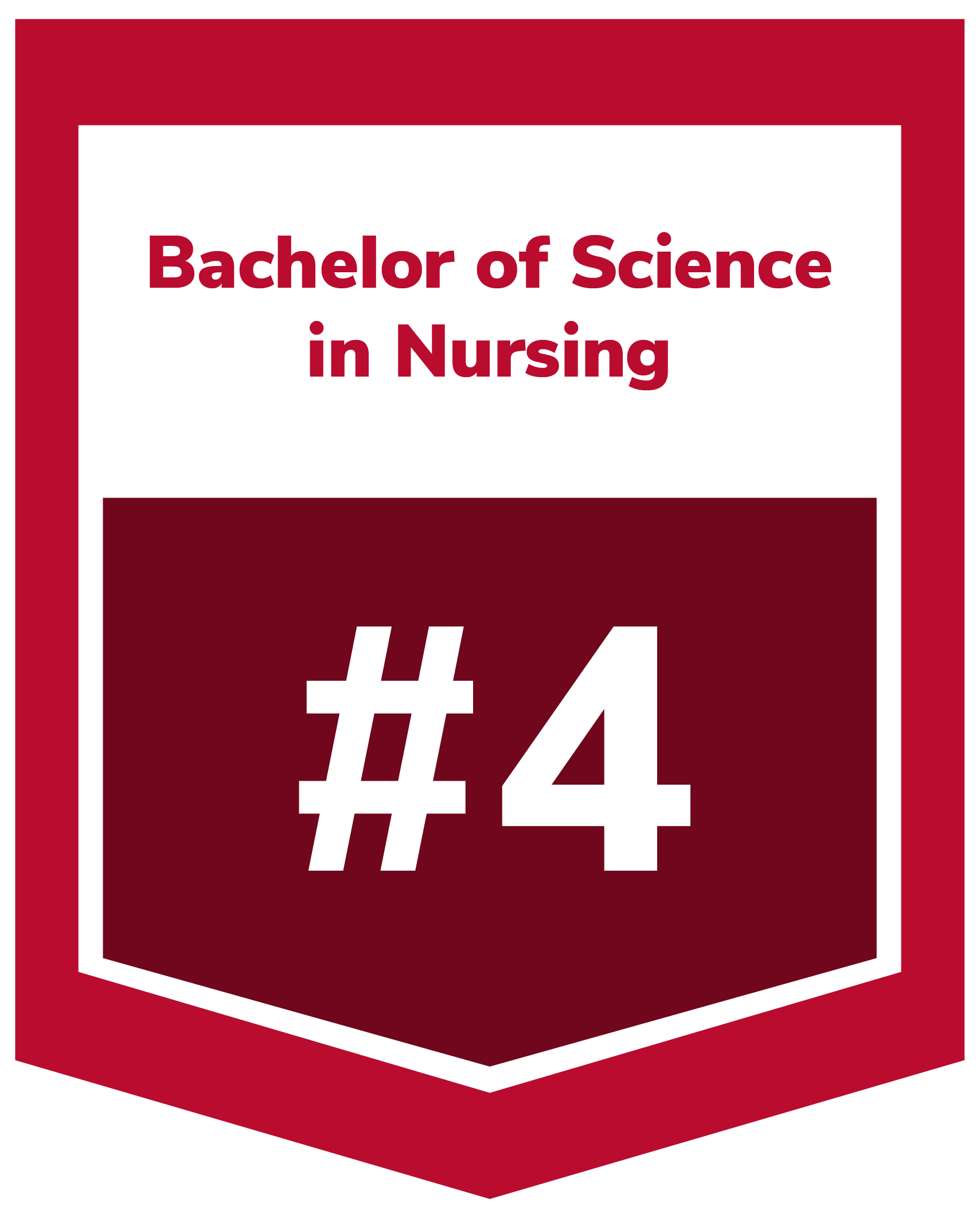 Getting Started  Associate Degree in Nursing