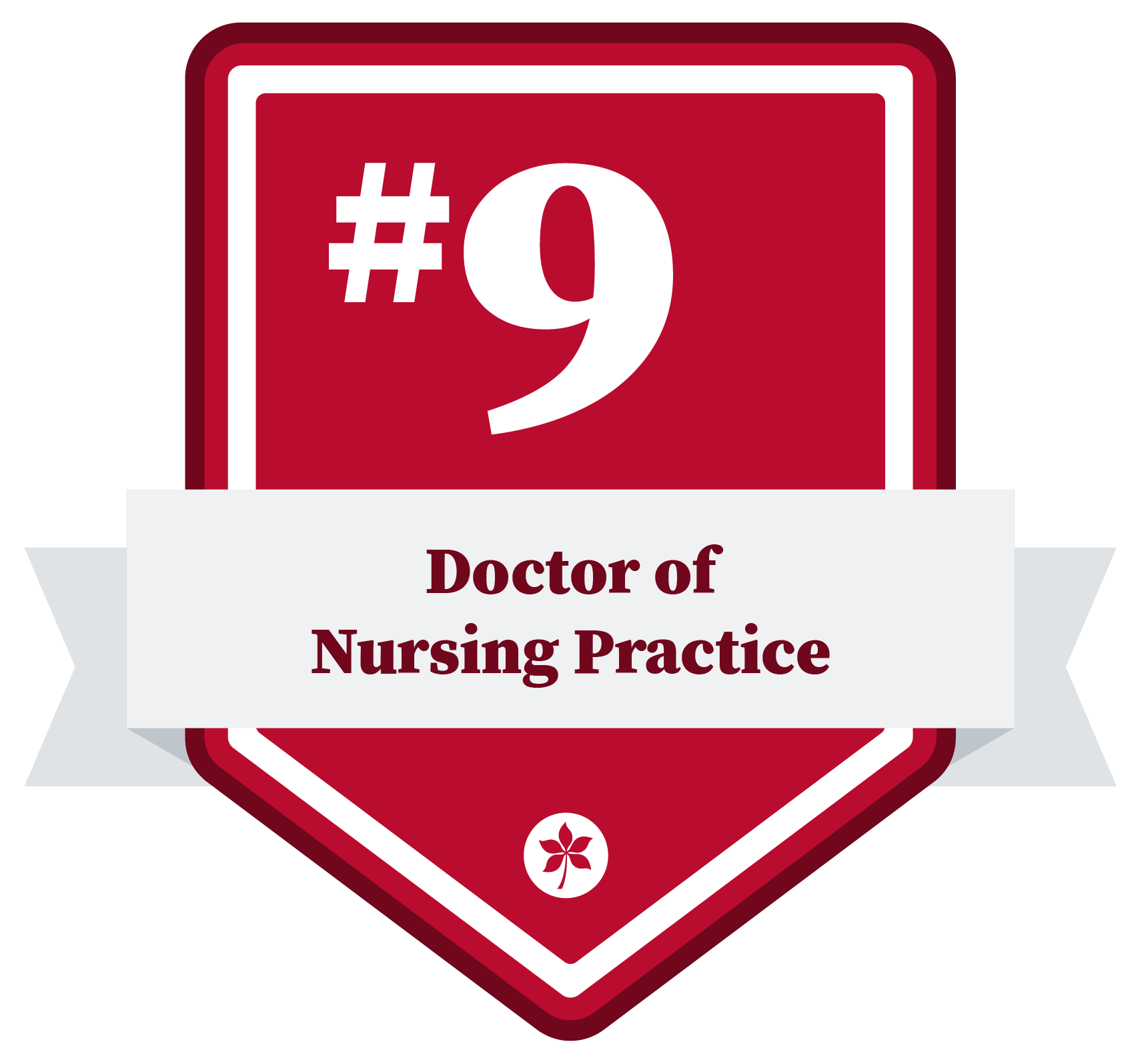 U.S. News & World Report Best Grad Schools Doctor of Nursing Practice #9