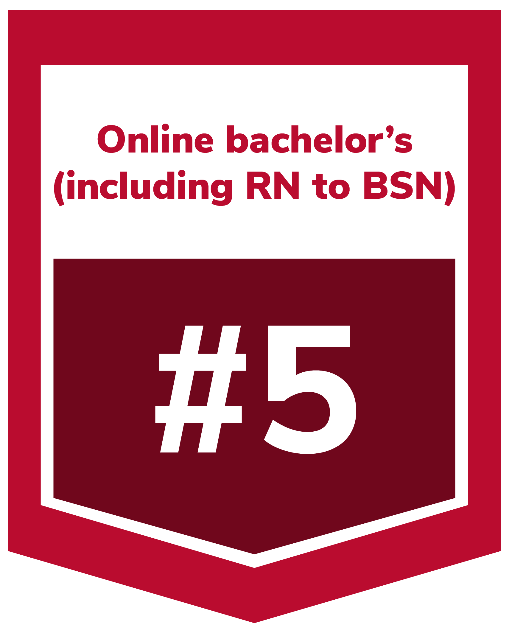 online bachelor's #5 illustrative banner