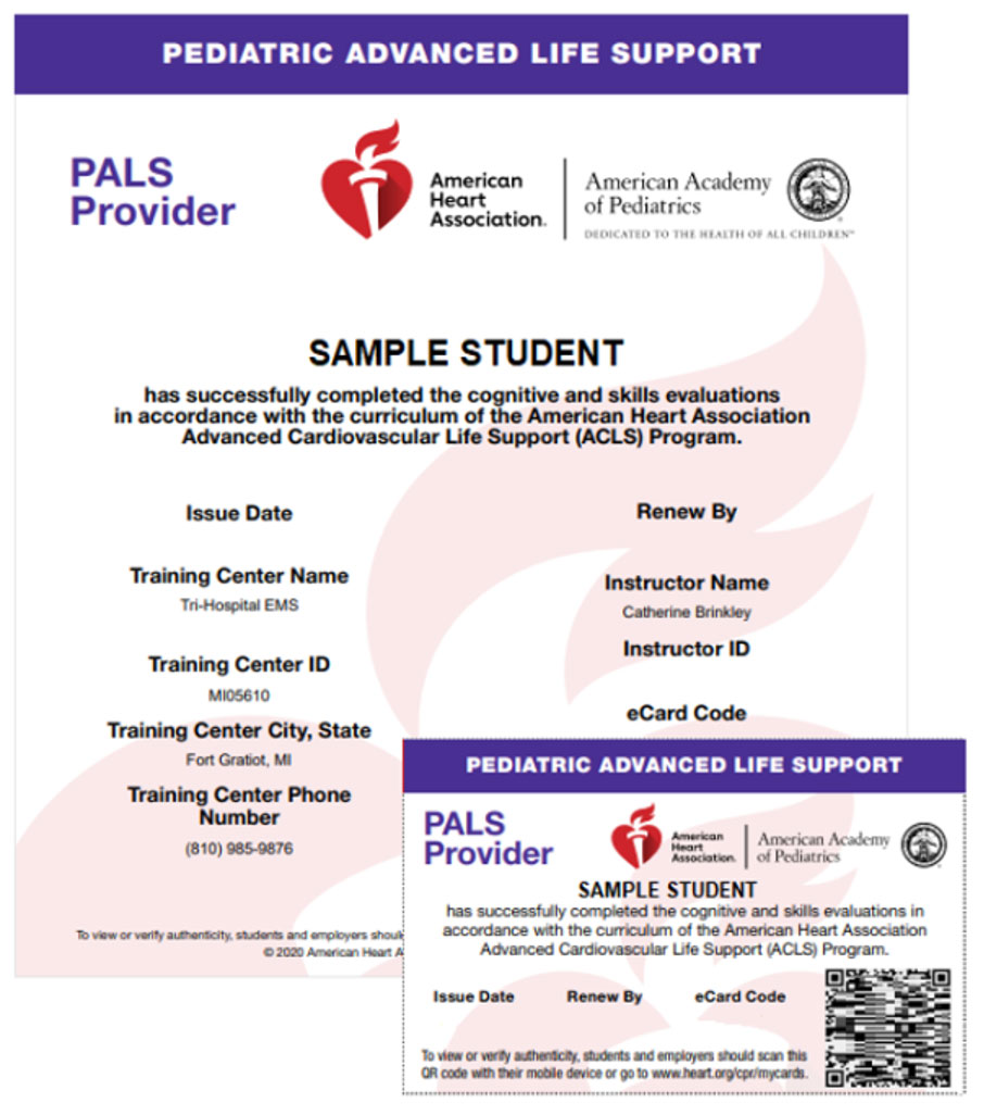 sample image of PALS provider certification documentation