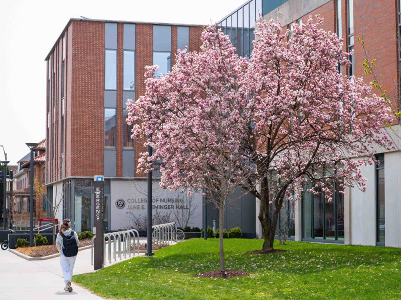 magnolia blossom in front of heminger hall