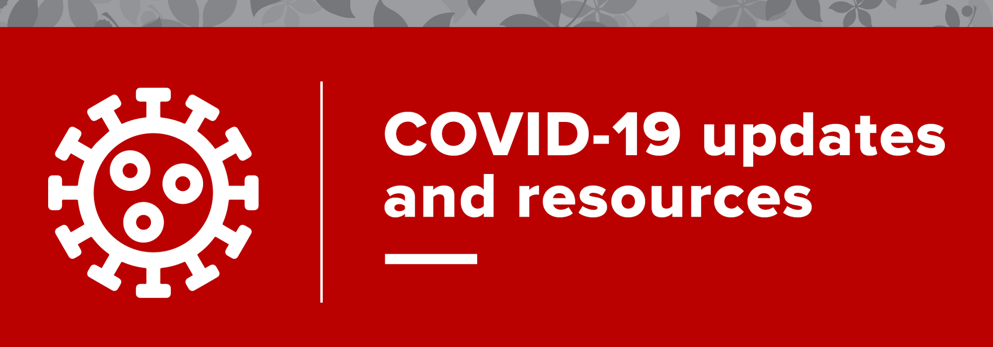 COVID-19 updates and resources
