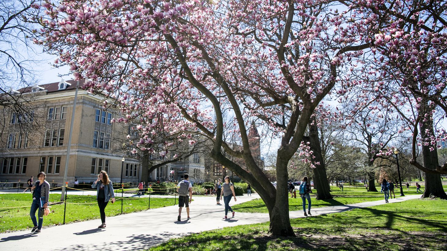 Students walking on campus during Spring