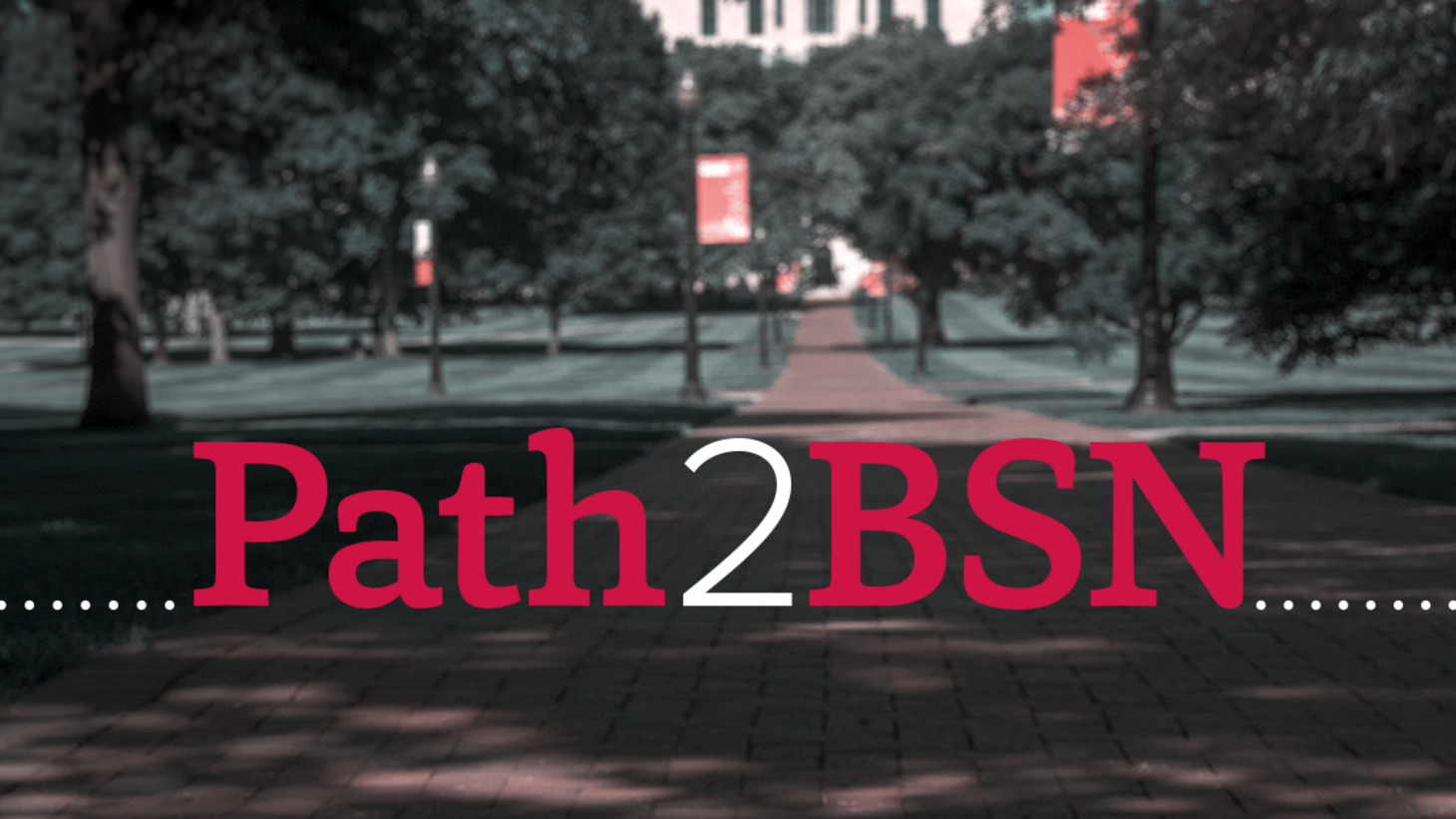 Path2BSN logo