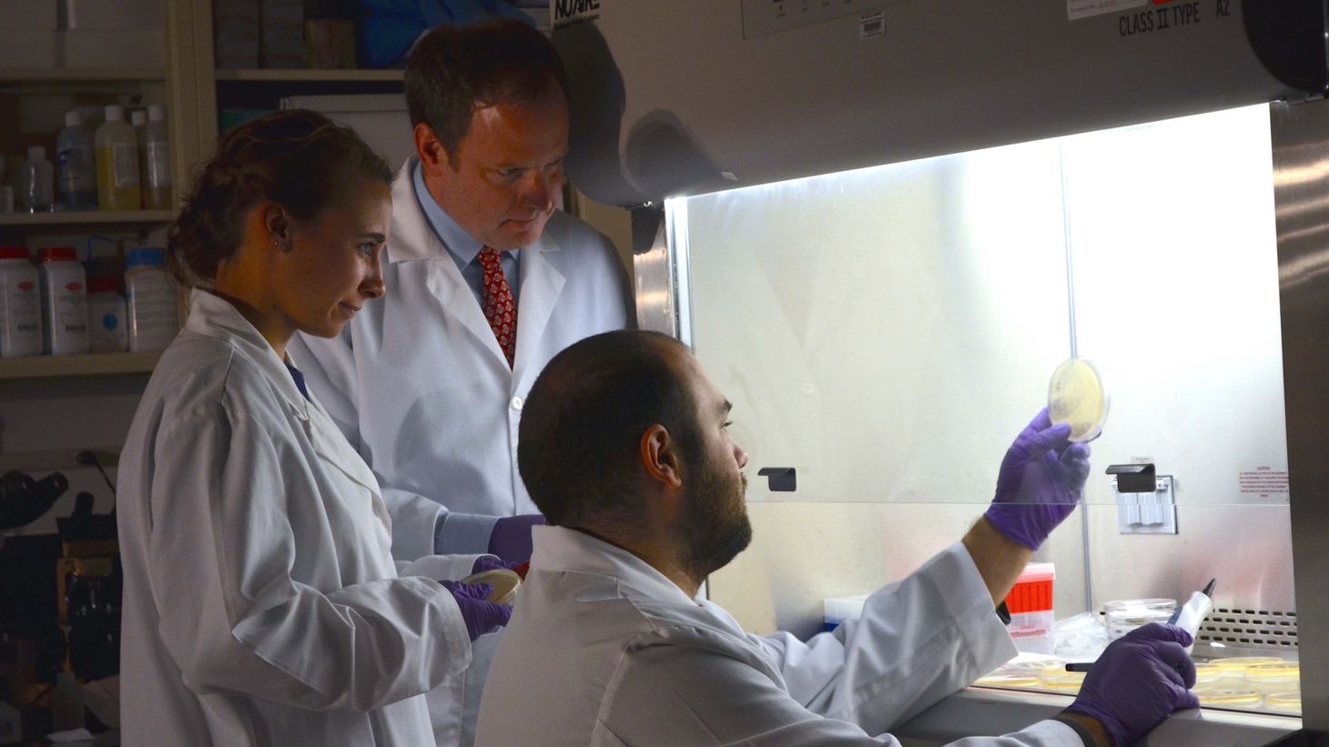 students in research lab