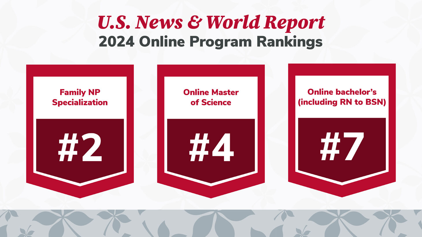 2024 online program rankings