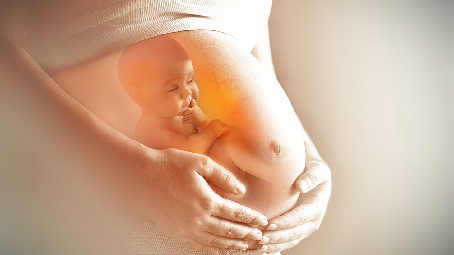 illustration of baby inside a mother's womb