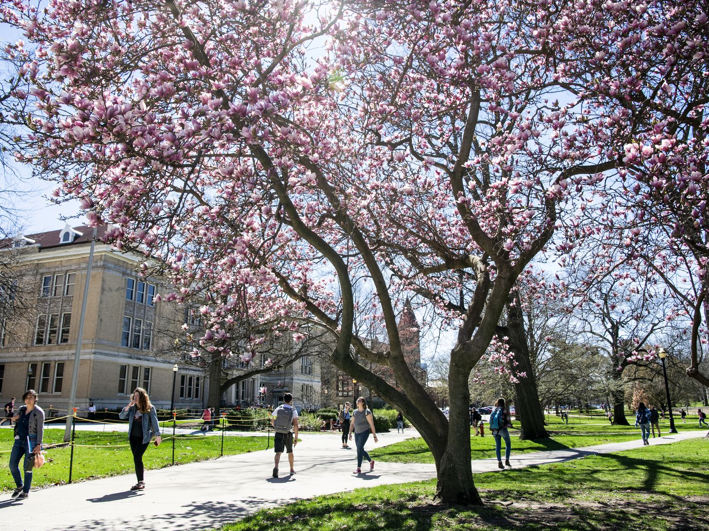 Students walking on campus during Spring