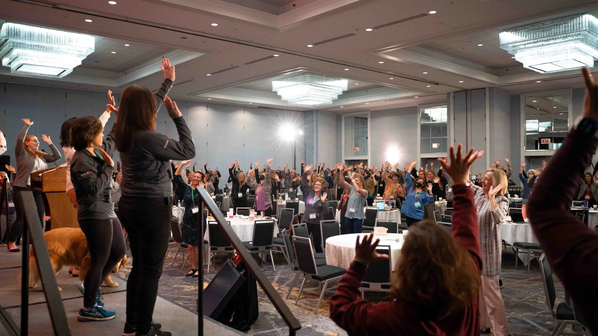Summit attendees participating in a wellness exercise