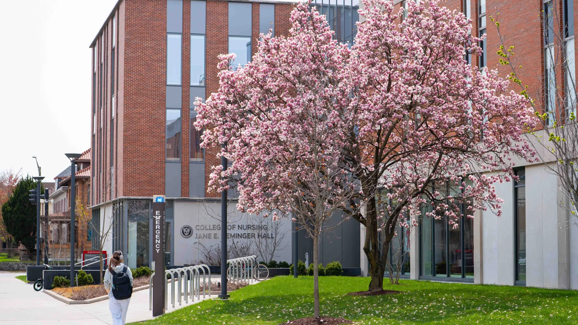 magnolia blossom in front of heminger hall